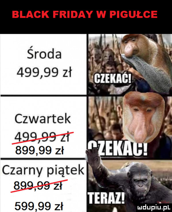 black friday w pigułce rwie czwartek        zł        zł czarny piątek        zł i        zł team mdupilij
