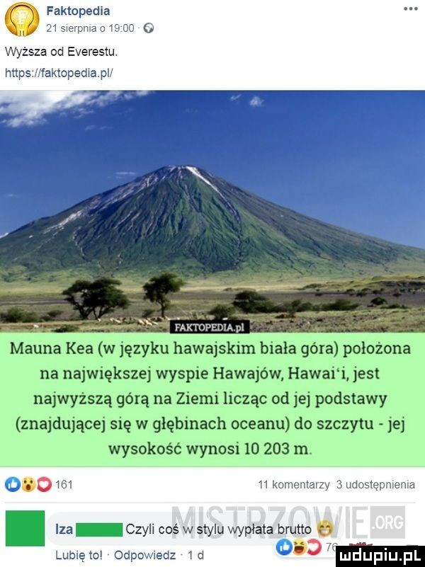 faktopedia    swe pv co wyższa od everestu https iampedwap faktopedia p magna kea w języku hawajskim biała góra położona na największej wyspie hawajów. hawai i jest najwyższą górą na ziemi licząc od jej podstawy znajdującej się w głębinach oceanu do szczytu jej wysokość wynosi        m. o w ﬂ komenarz   masie niva. lza czyli coś w stylu wypłata brutto lubjętoj odpc xedz  d