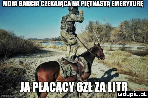 ilia babcia bernie a fce i idas i a emerytiliię ia p gaby śni zailitii an m acłdmwvłp awduniu f