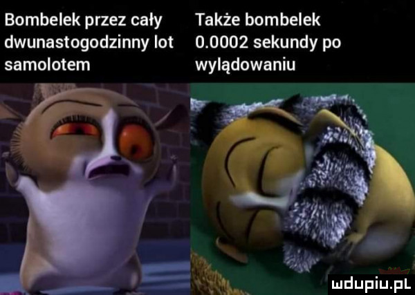 bombelek przez cały także bombelek dwunastogodzinny lot        sekundy po samolotem wylądowaniu