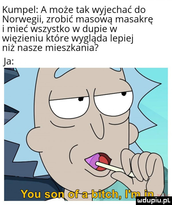kumpel a może tak wyjechać do norwegii zrobić masową masakrę i mieć wszystko w dupie w więzieniu które wygląda lepiej niż nasze mieszkania