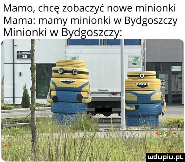 mamo chcę zobaczyć nowe minionki mama mamy minionki w bydgoszczy minionki w bad oszczy. ll