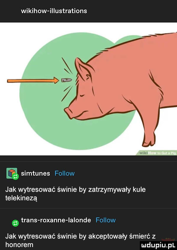 wikihow illustrations simtunes fellow. jak wytresować świnie by zatrzymywały kule telekinezą trans roxanie ialonde fellow jak wytresować świnie by akceptowały śmierć z honorem