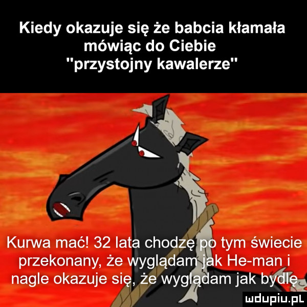 kiedy okazuje się że babcia kłamała mówiąc do ciebie przystojny kawalerze kurwa mać    iata chodzę tym świecie przekonany że wygląda k he man i nagle okazuje się że wy am jak byńfą ludupiujal
