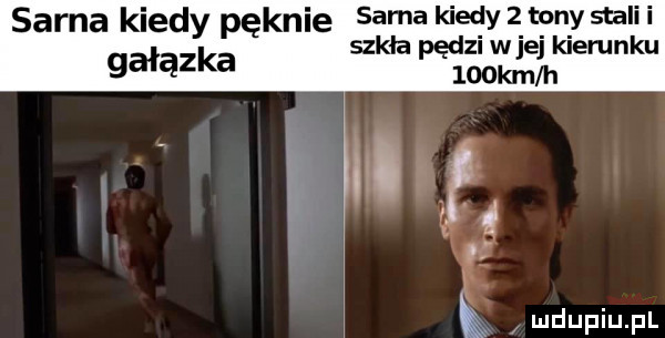 sama kiedy pęknie sama kiedy   tor y stali i gałązka szkła pędzi wiej kierunku