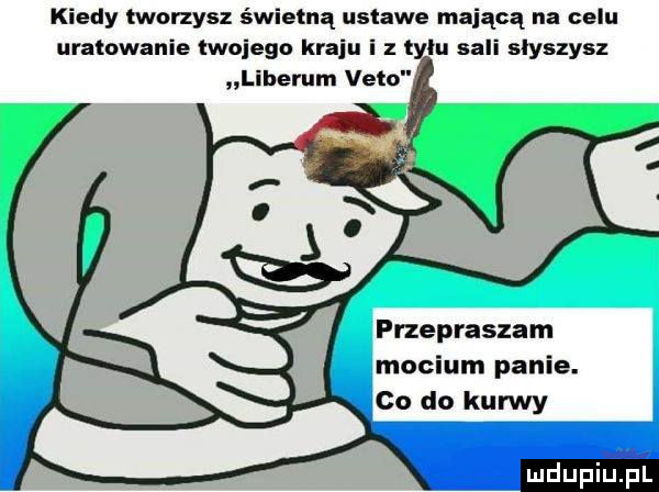 kiedy tworzysz świetną ustawe mającą na celu uratowanie lwojegn kraju i z t lu sali slyszysz liberem veto przepraszam mocium panie. co do kurwy