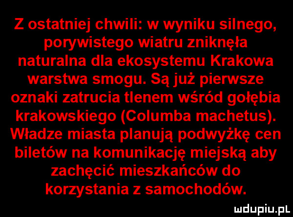 z ostatniej chwili w wyniku silnego porywistego wiatru zniknęła naturalna dla ekosystemu krakowa warstwa smogu. są już pierwsze oznaki zatrucia tlenem wśród gołębia krakowskiego columba machetus. władze miasta planują podwyżkę cen biletów na komunikację miejską aby zachęcić mieszkańców do korzystania z samochodów
