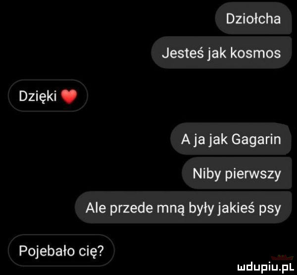 dziołcha jesteś jak kosmos dzięki. ajajak gagarin niby piensty ale przede mną byłyjakieś psy pojebało cię