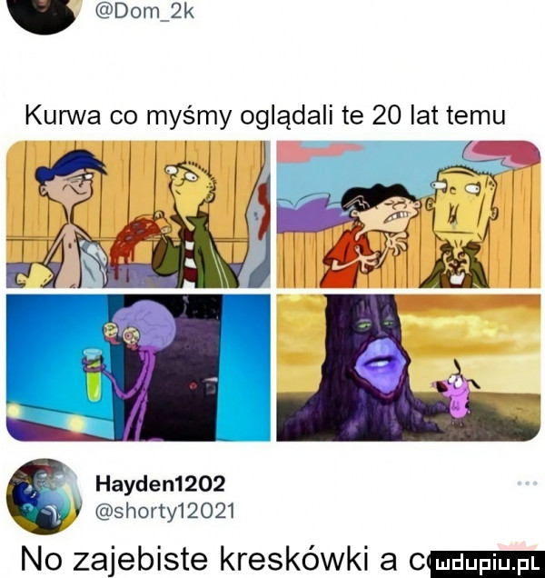 dom  k kurwa co myśmy oglądali te    lat temu f if harden     sporty      no zajebiste kreskówki a c