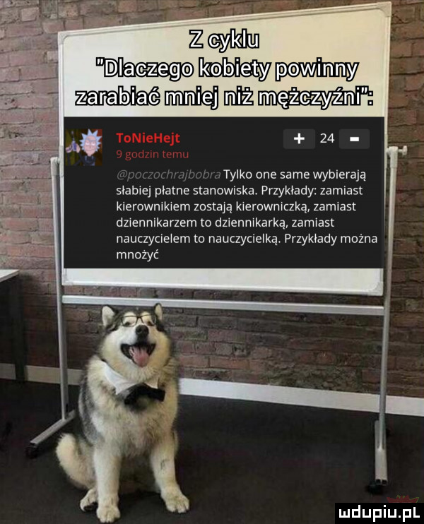 z     mmmmmyam    v tylko one same wybierają słabiej milne stanowiska. przykłady zamiast kierownikiem zastają kneruwniczką zamiast dziennikarzem o dzlennlkarką zamiast nauczycielem to nauczycielką. przykłady można mnożyć