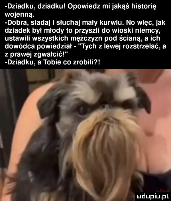 dziadku dziadku opowiedz mi iakąś historię wojenną. dobra siadaj i slucha maly karwiu. no więc jak dziadek był mlody to przyszli do wioski niemcy ustawili wszystkich mężczyzn pod ścianą a ich dowódca powiedział tych z lewe rozstrzelać a z prawni zgwałcić dziadku a tobie co zrobili