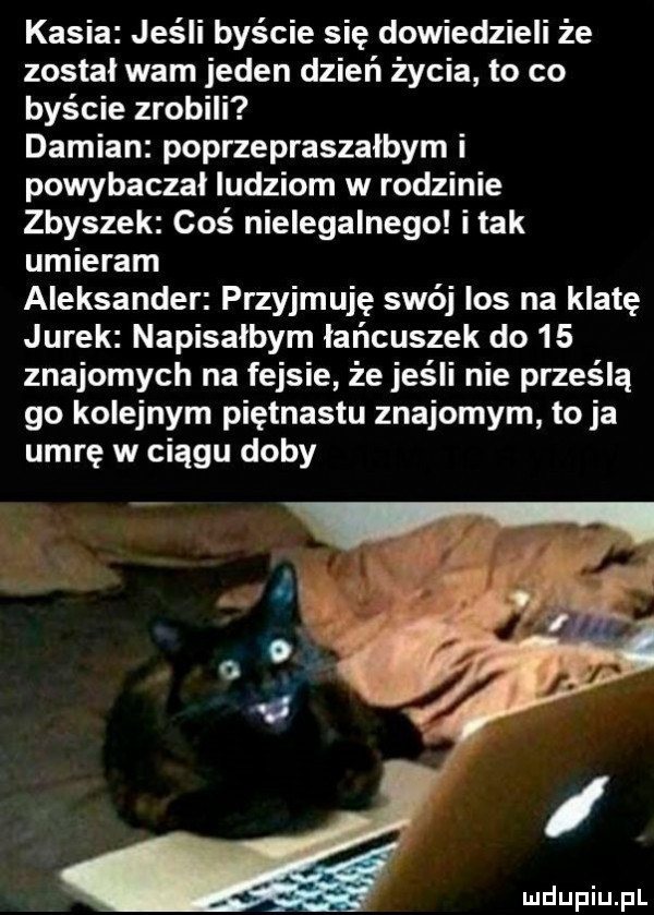 kasia jeśli byście się dowiedzieli że został wam jeden dzień życia to co byście zrobili damian poprzepraszalbym i powybaczal ludziom w rodzinie zbyszek coś nielegalnego i tak umieram aleksander przyjmuję swój los na klatę jurek napisałbym łańcuszek do    znajomych na fejsie że jeśli nie prześlą go kolejnym piętnastu znajomym to ja umrę w ciągu doby