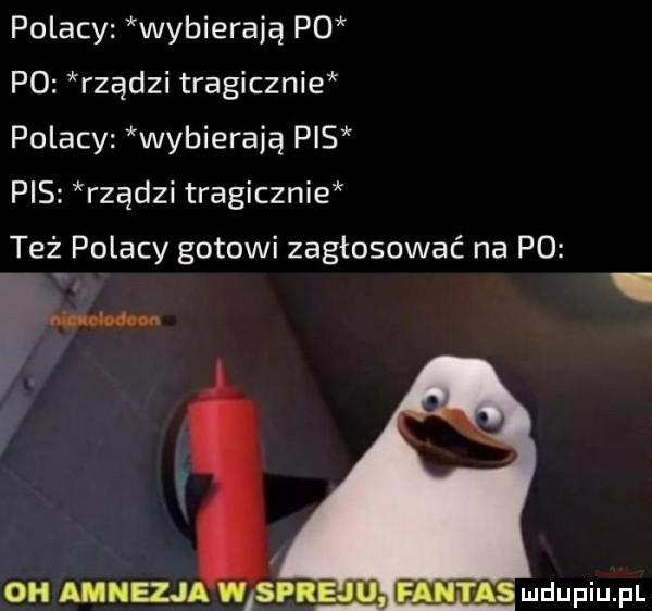 polacy wybierają p  p  rządzi tragicznie polacy wybierają pis pis rządzi tragicznie też polacy gotowi zagłosować na po oh musu sp asludupiupl