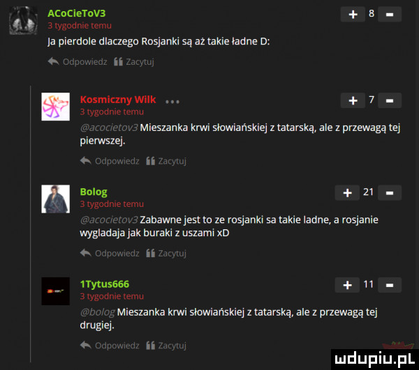acocietnvz s ij wgocmemmu a pierdole dlaaegu rosjanki są a takie ladne n m kosmicxnywilk   avygnnmrvrmu miemnka krwi słowiańskiej z mam ale   przewagą te plerwslej. ii solo     iygodme emu zabawne jestm ze majanki sa takie ladne a rosjanie wygladaja jak buraki z    ml xd n   y-u     ii   wm wku mlesmnka król slowlań sklej z alaska ale z przewagą tej drugiej. abakankami ii