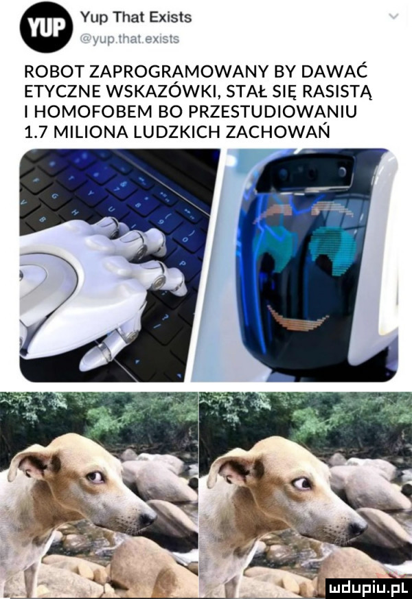 ykp trat exists robot zaprogramowany by dawac etyczne wskazowki stał się rasistą i homofobem bo przestudiowaniu     miliona ludzkich zachowan