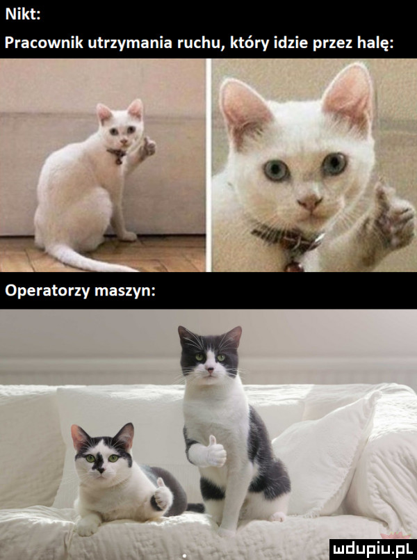 nikt pracownik utrzymania ruchu który idzie przez halę