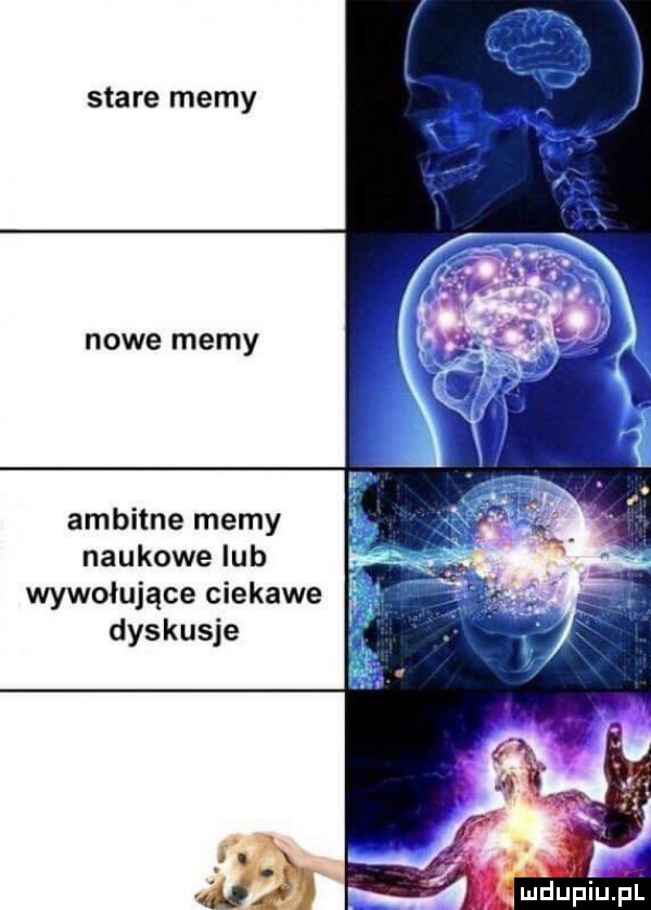 saa re memy nowe memy ambitne memy naukowe lub wywołujące ciekawe dyskusje mhupiupl