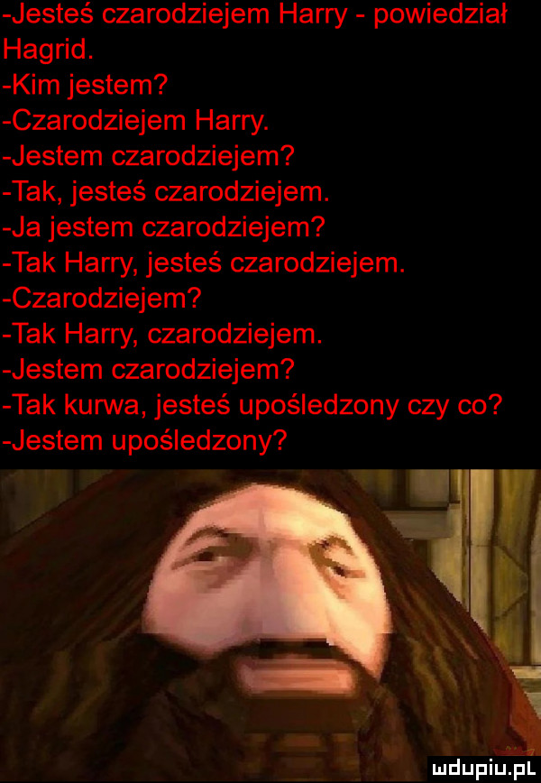 jestes czarodziejem harry powiedział hagrid. kim jestem czarodziejem harry. jestem czarodziejem tak jesteś czarodziejem. ja jestem czarodziejem tak harry jesteś czarodziejem. czarodziejem tak harry czarodziejem. jestem czarodziejem tak kurwa jesteś upośledzony czy co jestem upośledzony