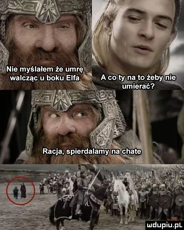 nie myślałem żęumrę walcząc u boku elfia