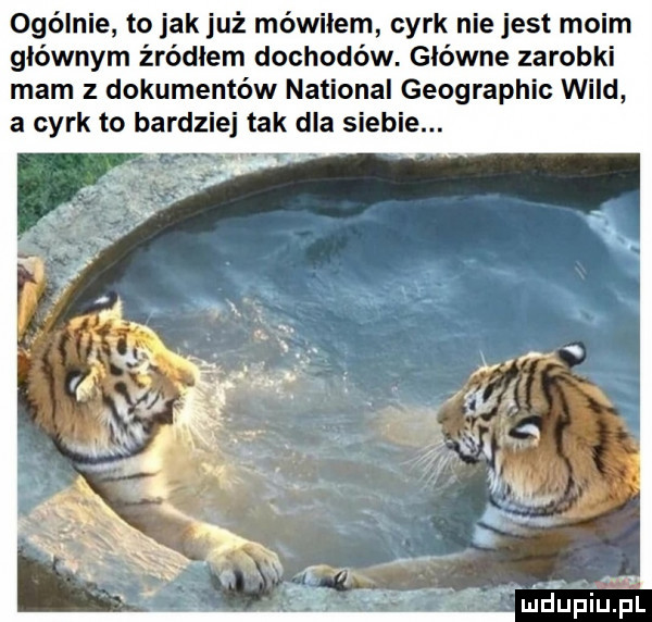 ogólnie to jak już mówiłem cyrk nie jest moim głównym źródłem dochodów. główne zarobki mam z dokumentów national geographic wild a cyrk to bardziej tak dla siebie