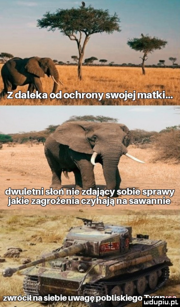ian nie zdający sobies sprawy may aczyﬁ aj mam o tu d ludupiu. pl