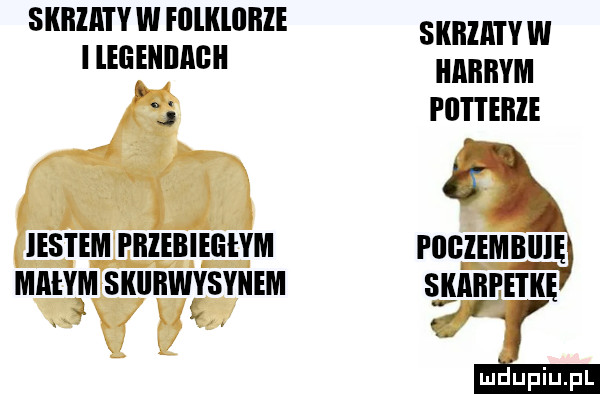 skrzaty w fﬂlklﬂllle i legeniiagi i a j ihs i em pbiebiegłym małyjm skubwjsynem skrzaty w harrym i lat i eile pggjembuje skabeetkę