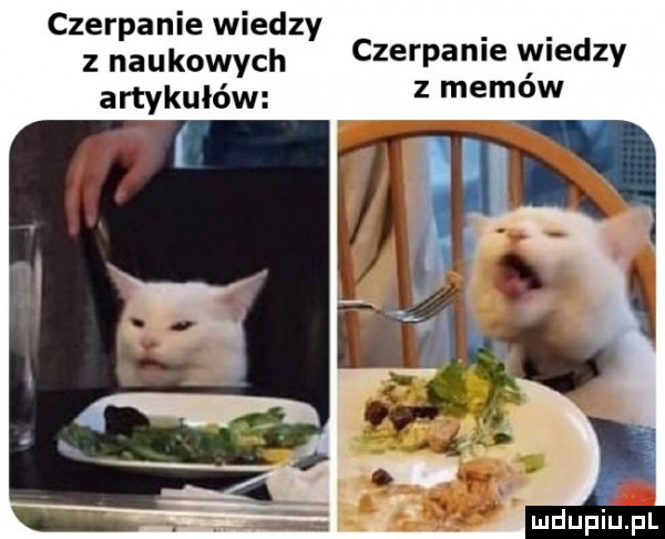 czerpanie wiedzy. abakankami z naukowych czerpadle wiedzy artykułów z memów