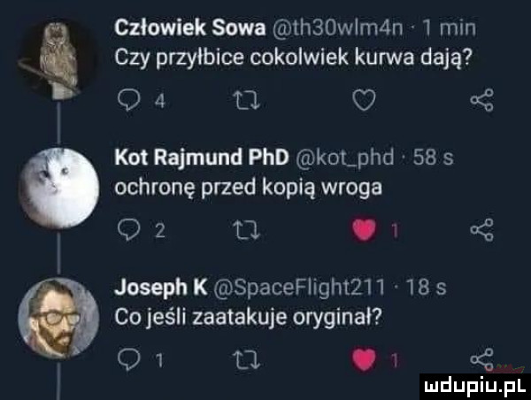 czlowiek sowa  h  wam n   mm cezy przyłbice cokolwiek kurwa dają o.   kot rajmund pad kol pad    s ochronę przed kopią wroga. cf. co jeśli zaatakuje oryginal. joseph spacefiightz