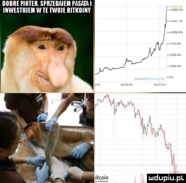 illllllﬂl mun. spizeiiaiei pasaiai iiwestuiei w te taine iiikiijiv