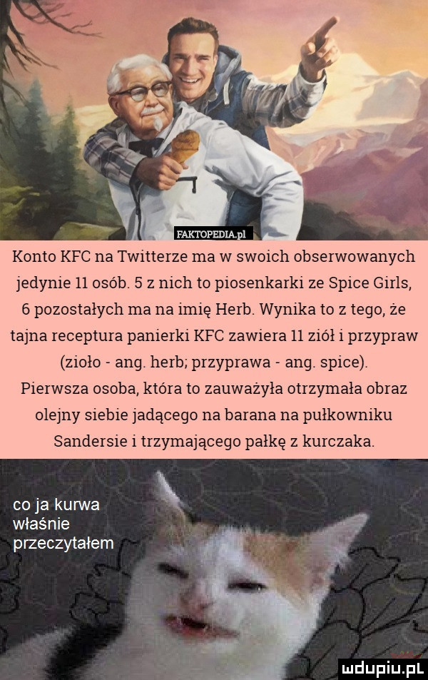 konto kfc na twitterze ma w swoich obserwowanych jedynie    osób.   z nich to piosenkarki ze spece girls   pozostałych ma na imię herb. wynika to złego że tajna receptura panierki kfc zawiera    ziół i przypraw zioło aeg. herb przyprawa aeg spece pierwsza osoba która to zauważyła otrzymała obraz olejny siebie jadącego na barana na pułkowniku sandersie i trzymającego pałkę z kurczaka. co ja kanna władnie przeczytałem