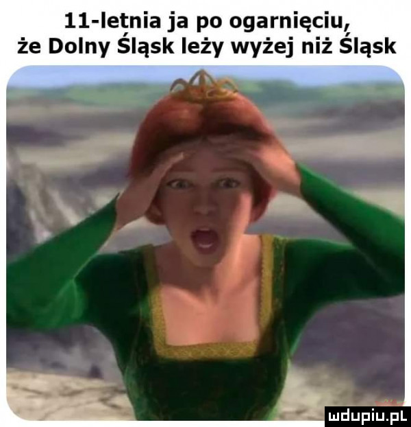 iellznia ja po ogarnięciuł że dolny sląsk leży wyżej niż sląsk deupiupl