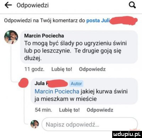 odpowiedzi o. odpowiedzi na twój komentarz do posts juli marcin pociecha to mogą być ślady po ugryzieniu świni lub po ieszczynie. te drugie goją się dłużej.    godz. lubię a odpowiedz. jula autor marcin pociecha jakiej kurwa świni ia mieszkam w mieście   mm lunięto odpowiedz naci ndpowmrh