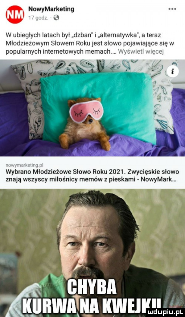 nowymarkełing       w ubiegłych irlach bai alban i aiternatywka a teraz młodzieżowym słowem roku jest skowo pojawiające się w popularnych internemwych memach. wysmct wwcci j r mru. wybrano młodzieżowe skowo roku     . zwycięskie slowo znają wszyscy miłośnicy memów z pieskami nowymark