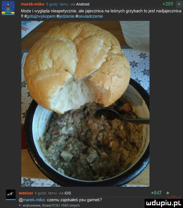 m ubu w       mole i wyqua nieapetycmi ale jajecznica na leśnych glzybachto  es  uadjajecznica wm mate mamunie r u melos     mlek miko czemu zajebahś psu gamer. łwunuswwalvaou aasmnym mduplu pl gm