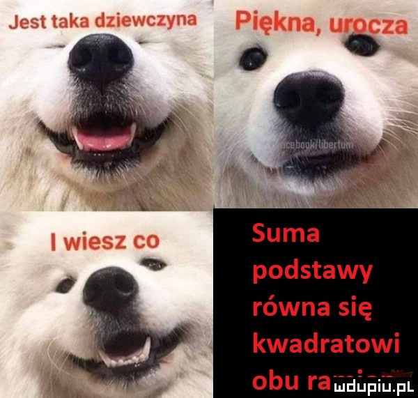 suma podstawy równa się kwadratowi obu raaaaaim