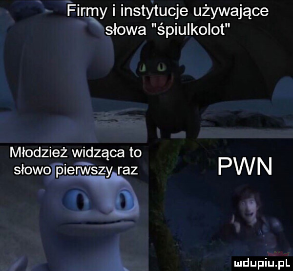 firmy i insthucje używające xsłowa śpiulkolot młodzież widząca to pwn słooniertvszy raz   s m a a