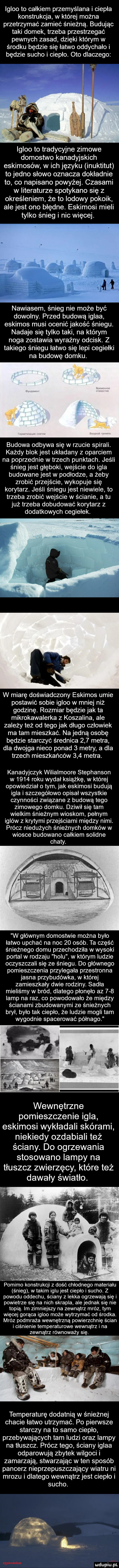 igloo to całkiem przemyślana i ciepła konstrukcja w której można przetrzymać zamieć śnieżną. budując taki domek trzeba przestrzegać pewnych zasad dzięki którym w środku będzie się łatwo oddychało i będzie sucho i ciepło. oto dlaczego igloo to tradycyjne zimowe domostwo kanadyjskich eskimosów w ich języku inuktitut to jedno słowo oznacza dokładnie to co napisano powyżej. czasami w literaturze spotykano się z określeniem że to lodowy pokoik ale jest ono błędne. eskimosi mieli tylko śnieg i nic więcej. nawiasem śnieg nie może być dowolny. przed budową iglaa eskimos musi ocenić jakość śniegu. nadaje się tylko taki na którym noga zostawia wyraźny odcisk. z takiego śniegu łatwo się lepi cegiełki na budowę domku. budowa odbywa się w rzucie spirali. każdy blok jest układany z oparciem na poprzednie w trzech punktach. jeśli śnieg jest głęboki wejście do igla budowane jest w podłodze a żeby zrobić przejście wykopuje się korytarz. jeśli śniegu jest niewiele to trzeba zrobić wejście w ścianie atu już trzeba dobudować korytarz z dodatkowych cegiełek. w miarę doświadczony eskimos umie postawić sobie igloo w mniej niż godzinę. rozmiar będzie jak ta mikrokawalerka z koszalina ale zależy też od tego jak dlugo człowiek ma tam mieszkać. na jedną osobę będzie starczyć średnica     metra dla dwojga nieco ponad   metry a dla trzech mieszkańców     metra. kanadyjczyk wilialmoore stephenson w      roku wydal książkę w której opowiedziało tym jak eskimosi budują igla i szczegółowo opisał wszystkie czynności związane z budową tego zimowego domku. dziwil się tam wielkim śnieżnym wioskom pelnym irlów z krytymi przejściami między nimi. prócz niedużych śnieżnych domków w wiosce budowano całkiem solidne chaty. w głównym domostwie można było łatwo upchać na noc    osób. ta część śnieżnego domu przechodziła w wysoki portal w rodzaju holu w którym ludzie oczyszczali się ze śniegu. do głównego pomieszczenia przylegała przestronna jasna przybudówka w której zamieszkały dwie rodziny. sadła mieliśmy w bród dlatego płonęło az     lamp na raz co powodowało że między ścianami zbudowanymi ze śnieżnych brył było tak cieplo że ludzie mogli tam wygodnie spacerować półnago wewnętrzne pomieszczenie igla eskimosi wykładali skórami niekiedy ozdabiali też ściany. do ogrzewania stosowano lampy na tłuszcz zwierzęcy które też dawały światło. ił i. pomimo konstrukcji z doś chłodnego materialu śnieg w takim idu jest ciepło i sucho. z powodu oddechu ściany z lekka ogrzewają się i powietrze się na nich skrapla ale jednak się nie topią. im zimniejszy na zewnątrz mróz tym więcej gorąca igloo może wytrzymać od środka. mróz podmraża wewnętrzną powierzchnię ścian i ciśnienie temperaturowe wewnątrz i na zewnątrz naważy się. temperaturę dodatnią w śnieżnej chacie łatwo utrzymać. po pienste starczy na to samo ciepło przebywających tam ludzi oraz lampy na tluszcz. prócz tego ściany iglaa odparowują zbytek wilgoci i zamarzają stwarzając w ten sposób pancerz nieprzepuszczający wiatru ni mrozu i dlatego wewnątrz jest ciepło i sucho. wpierw