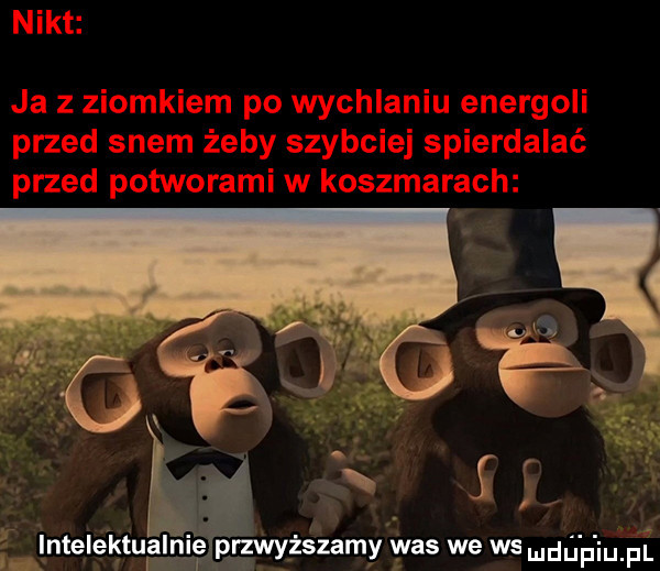 lntelektulalnie przwyższamy was we we mdli f iu f