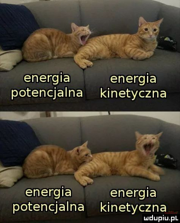 w energia energia potencjalna kinetyczna w a i energia energia potencjalna kinetyczna