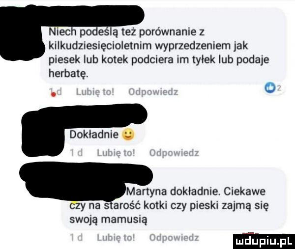 niec po ellą też porównanie z kilkudziesięcioiemim wypnedzeniem jak piesek lub kotek podciera im tylek lub podaje herbatę. o dokładnie o martyna dokładnie. ciekawe y na s aros c kotki czy pieski zajmą się swoją mamusią