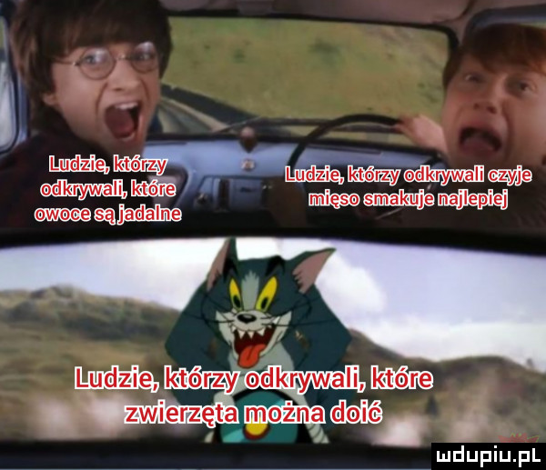 odkrywali są mdupiuth