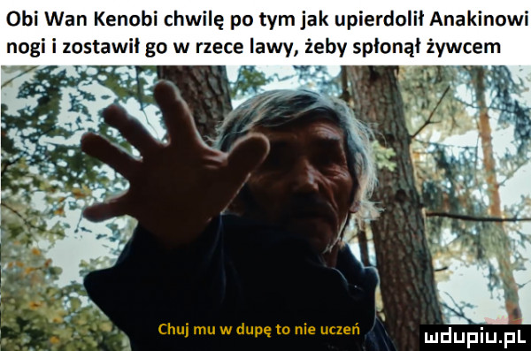 obi wan kenowi chwilę po tymjak upierdolii anakinowi nogi i zostawil go w rzece lawy żeby spłonął żywcem