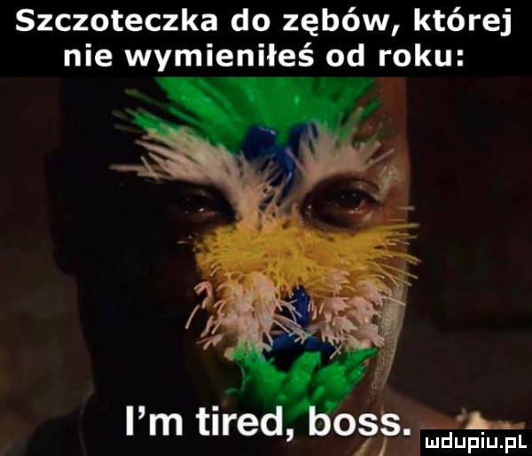 szczoteczka do zębów której nie wymieniłeś od roku