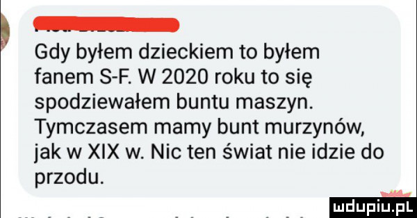 gdy byłem dzieckiem to byłem fanem s f. w      roku to się spodziewałem buntu maszyn. tymczasem mamy bunt murzynów jak w xix w. nie ten świat nie idzie do przodu. mdupqul