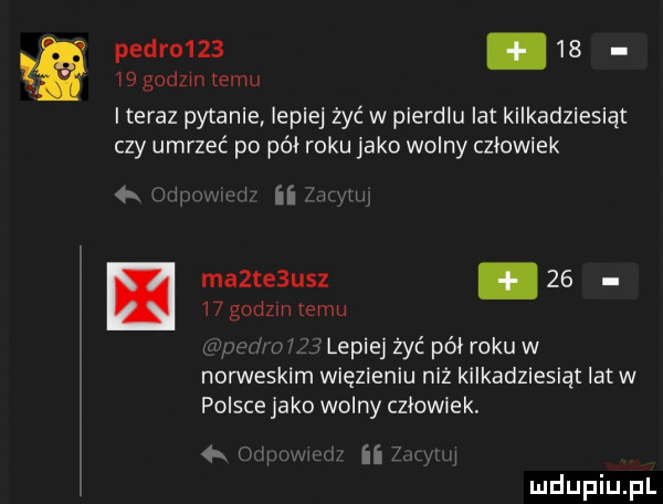 pedro   .       godom limu iteraz pytanie lepiej żyć w pierdlu lat kilkadziesiąt czy umrzeć po pól roku jako wolny czlowiek wash ma te uaz       godom emu lepiej żyć pól roku w norweskim więzieniu niż kilkadziesiąt iatw polsce jako wolny czlowiek ii