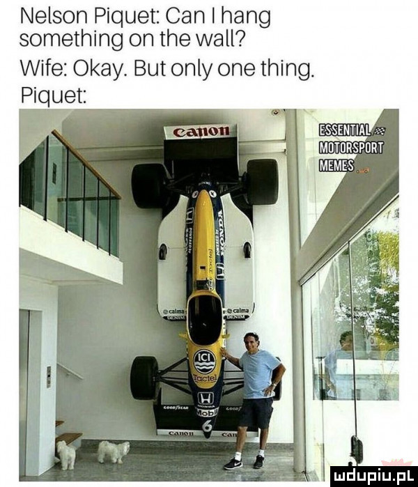 nelson piruet cen i hang something on tee will wice okay. but orly one thing. pique