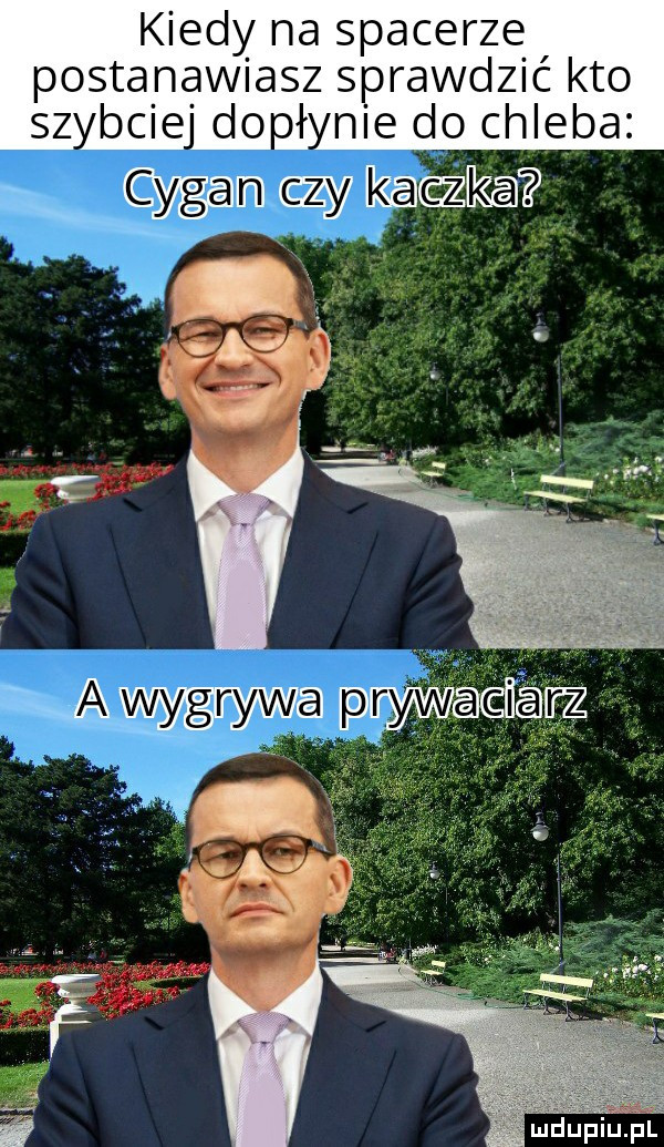 kiedy na spacerze postanawiasz sprawdzić kto sz bpie doił nie do chleba xp tkanka ny k