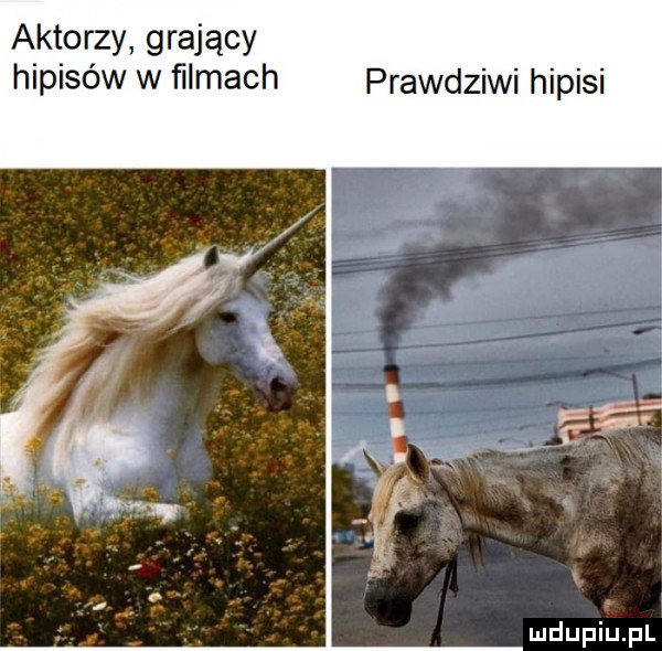 aktorzy grający hipisów w ﬁlmach prawdziwi hipisi