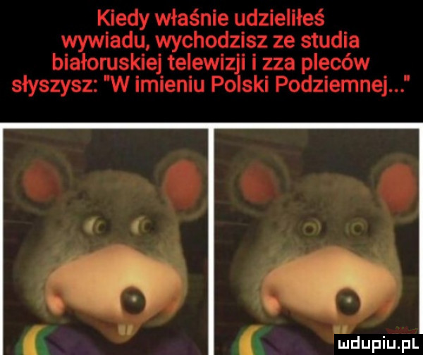 kiedy właśnie udzieliłeś wywiadu wychodzisz ze studia białoruskiej telewiz zhi i zza pleców słyszysz. w imieniu po ski podziemnej