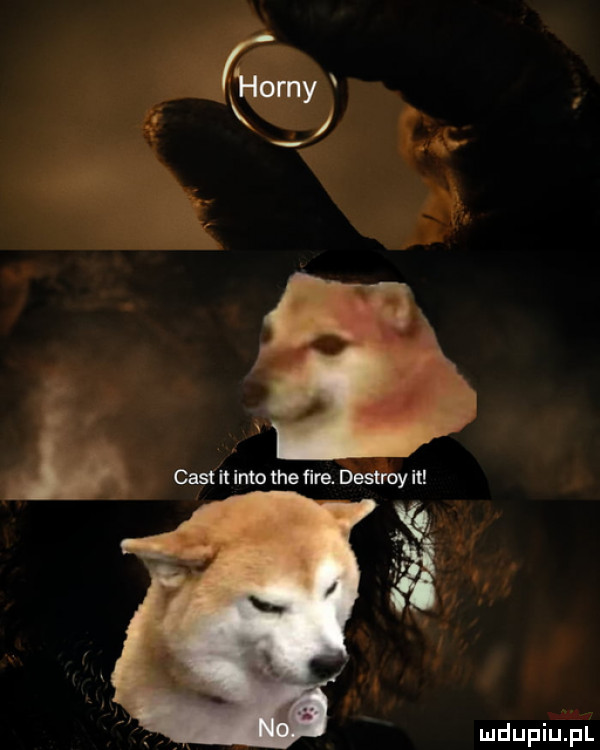 cest it iato me ﬁre. destroy it